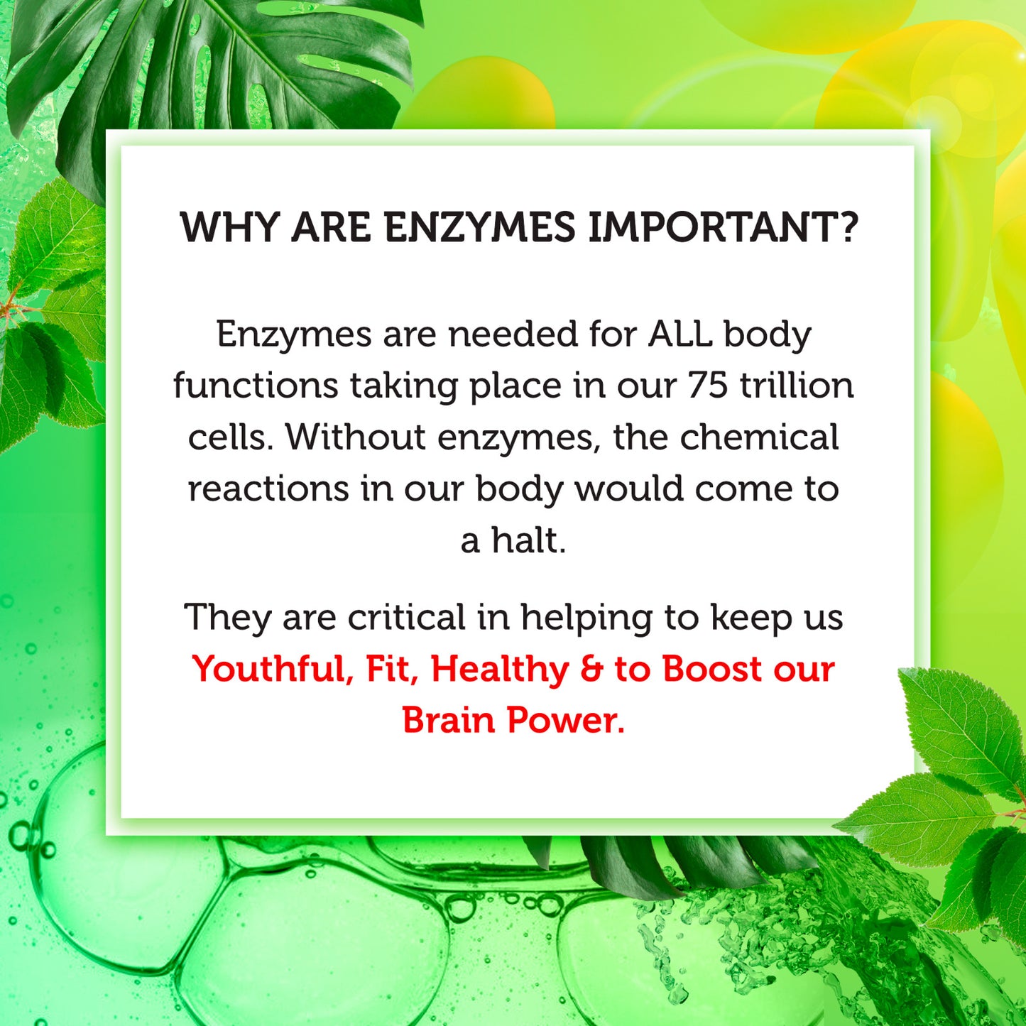 RAINBOW VITALITY ENZYMES