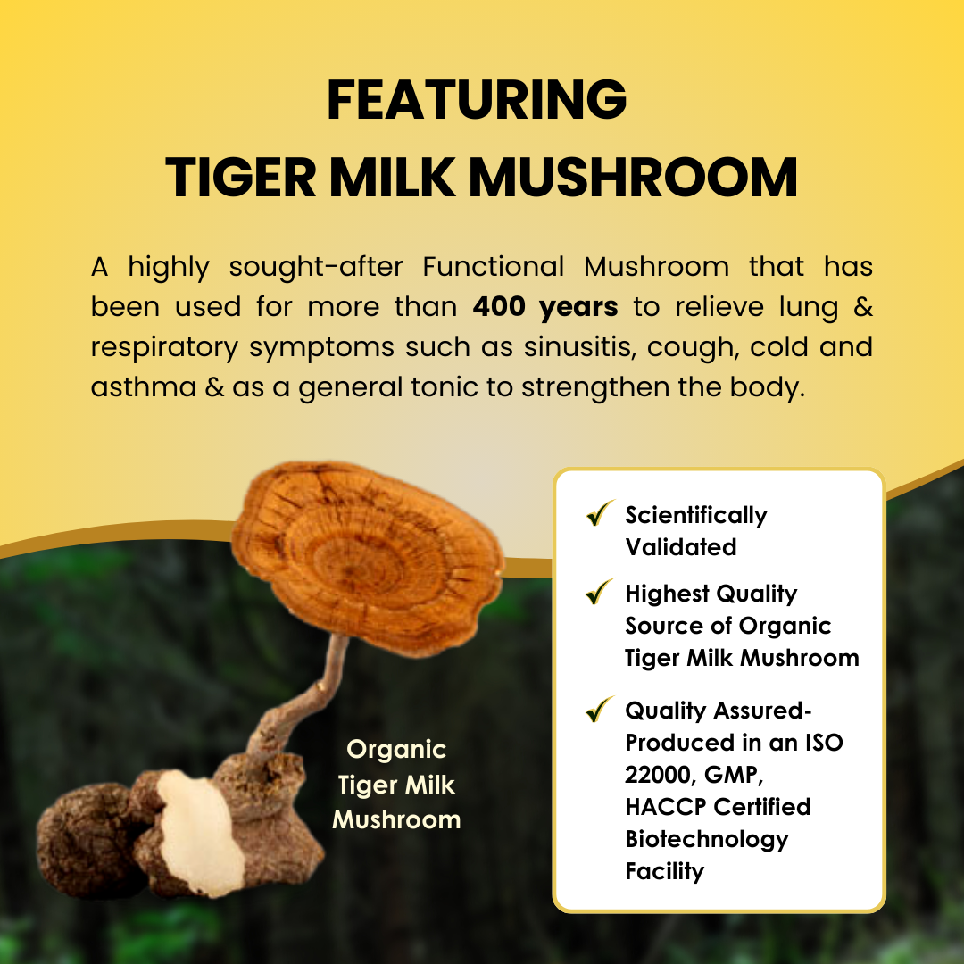 PREMIUM IMMUNITY BOOSTER (Organic Tiger Milk Mushroom & Cordyceps)