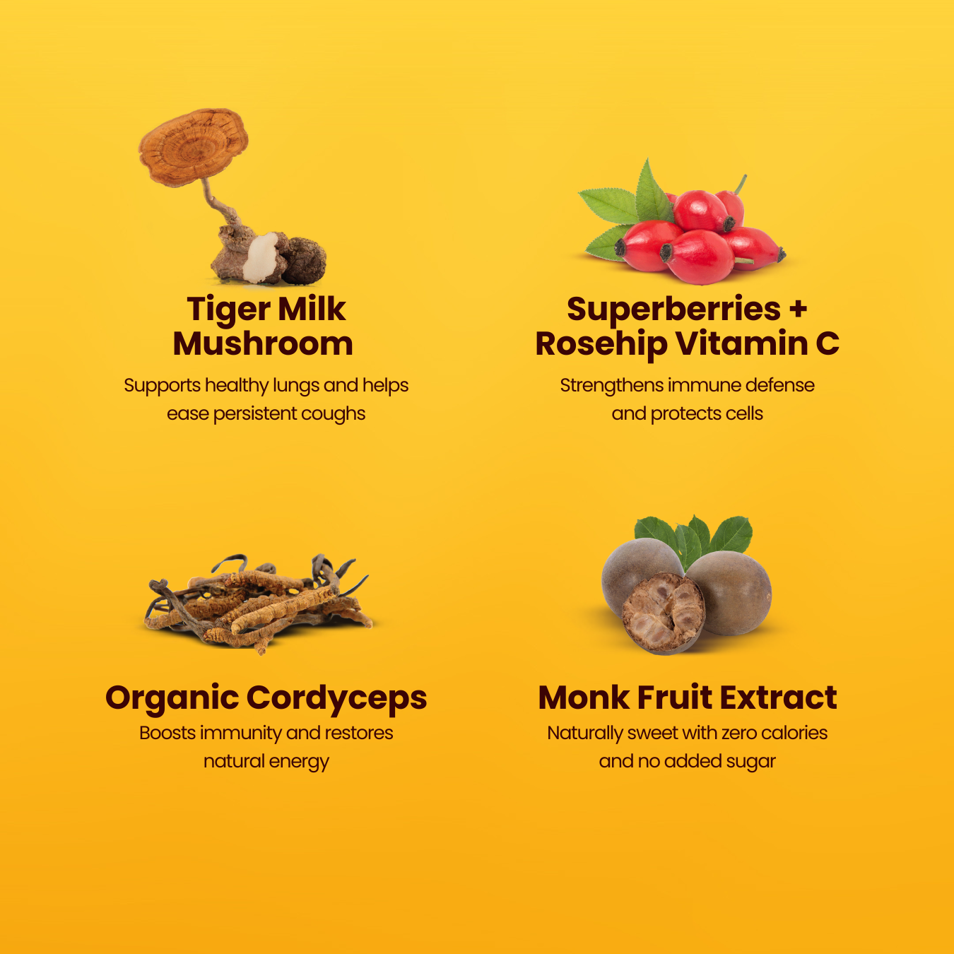 PREMIUM IMMUNITY BOOSTER (Organic Tiger Milk Mushroom & Cordyceps)