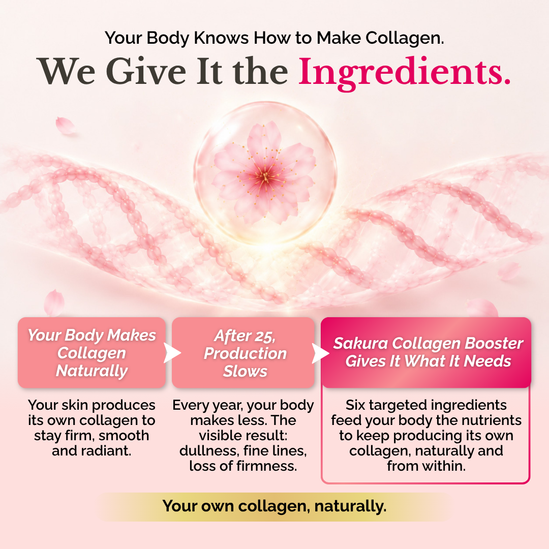 PREMIUM SAKURA COLLAGEN BOOSTER