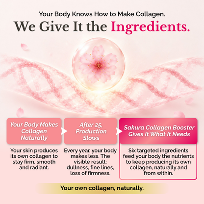 PREMIUM SAKURA COLLAGEN BOOSTER